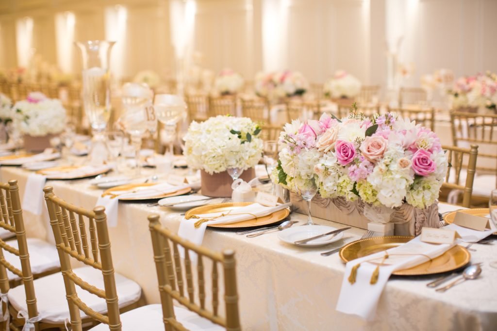 CC Roa DeniseLinPhotography 100