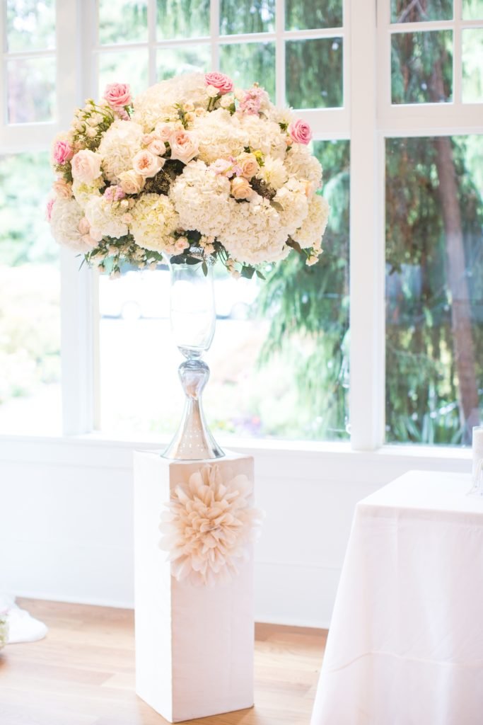 CC Roa DeniseLinPhotography 3 1