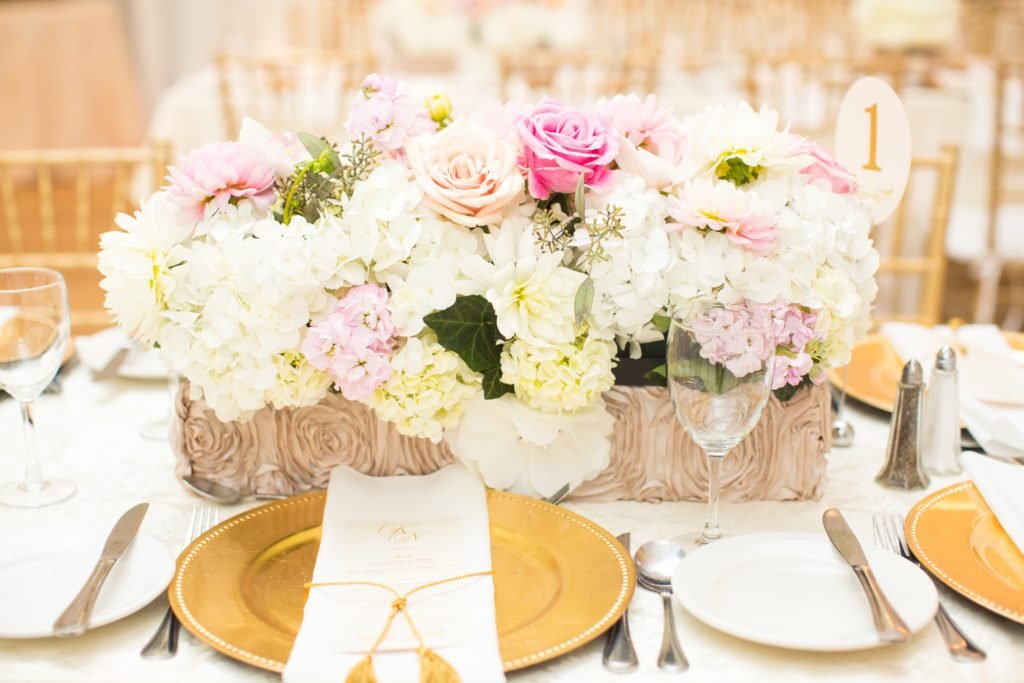 CC Roa DeniseLinPhotography 41