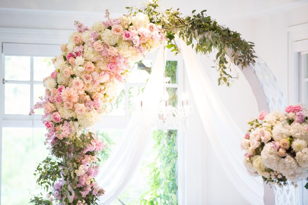 CC Roa DeniseLinPhotography 6 1