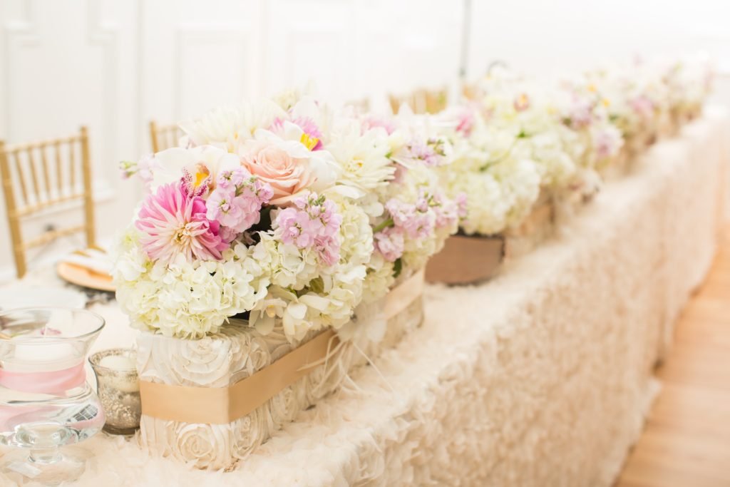 CC Roa DeniseLinPhotography 66