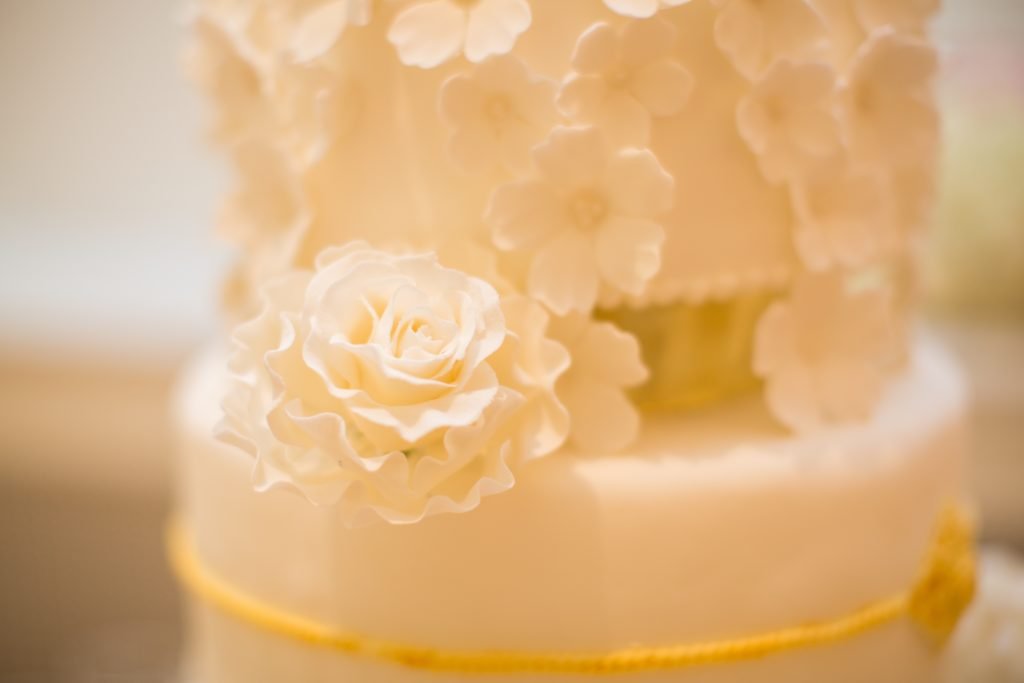 CC Roa DeniseLinPhotography 73 2