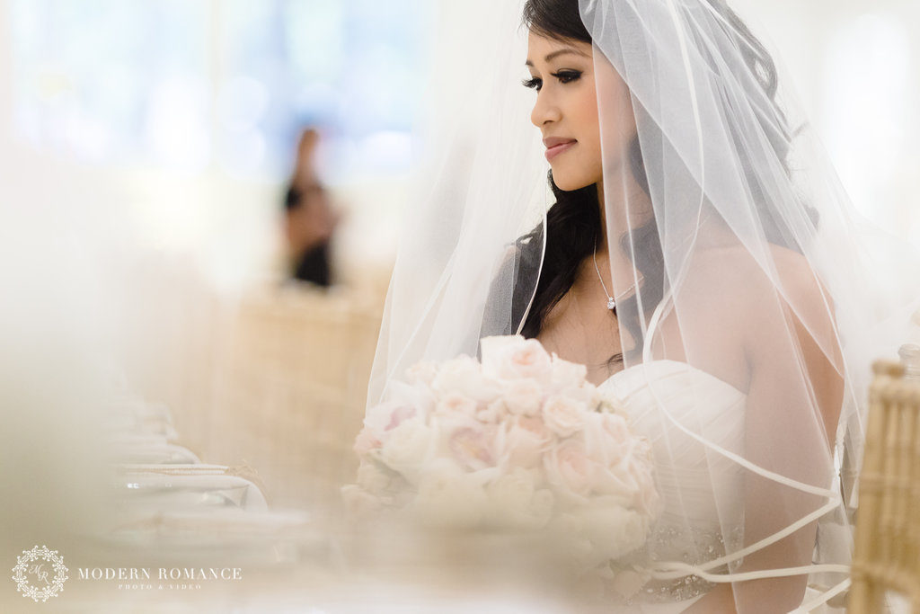 MR KellyNelson 10 055