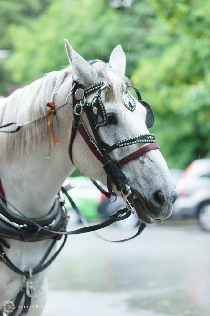 MR KellyNelson 50 058