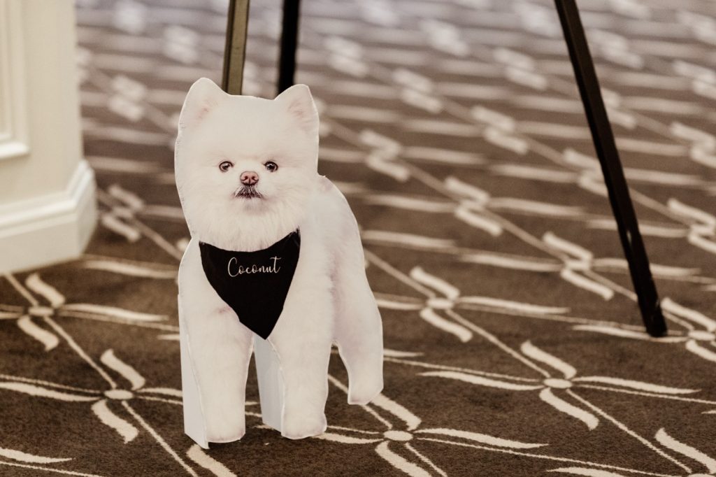 WhatsApp Image at PM